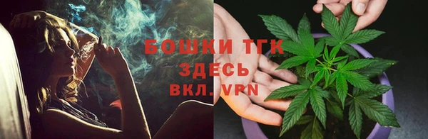 ГАЛЛЮЦИНОГЕННЫЕ ГРИБЫ Алексеевка