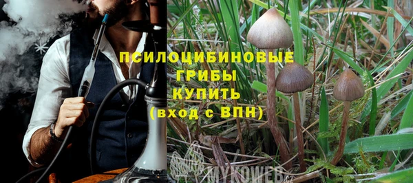 ГАЛЛЮЦИНОГЕННЫЕ ГРИБЫ Алексеевка
