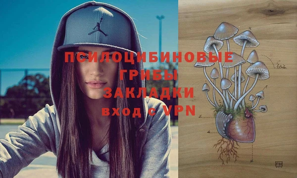 дживик Алексин