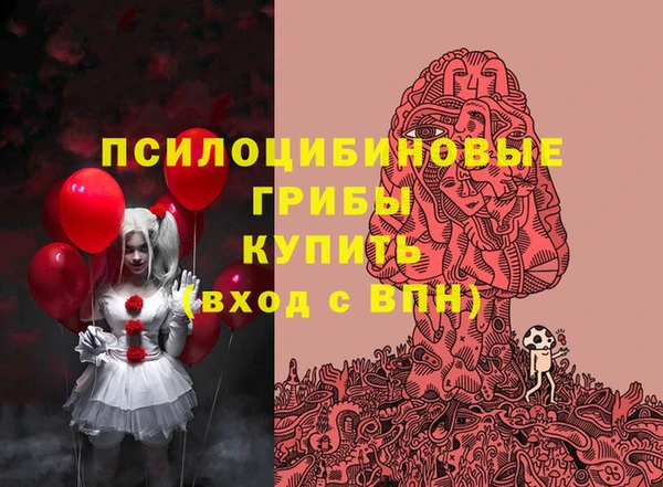 ГАЛЛЮЦИНОГЕННЫЕ ГРИБЫ Алексеевка